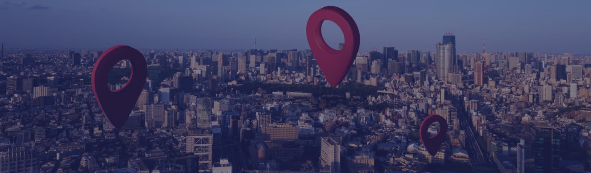 Business Location Analysis