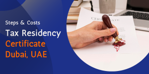 Tax Residency Certificate Dubai, UAE – Steps & Costs 