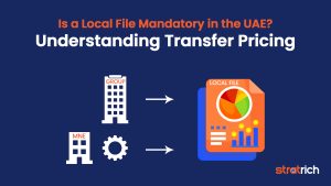 Transfer Pricing In the UAE: Do you need a Local File 