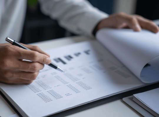 Audit Support