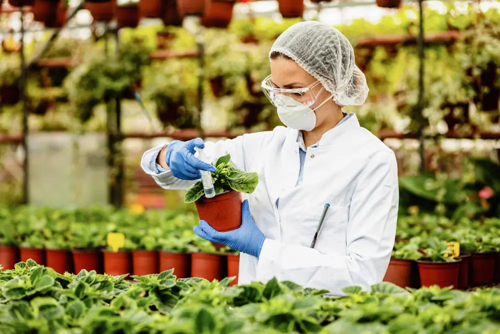 Agro-Processing: Profitable Business in India with Govement-Backed Export Potential | Stratrich